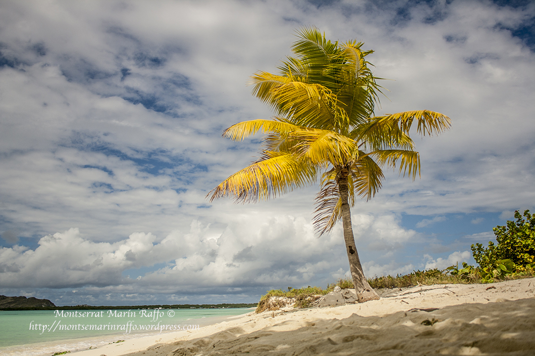 los roques fotografia montse marin raffo